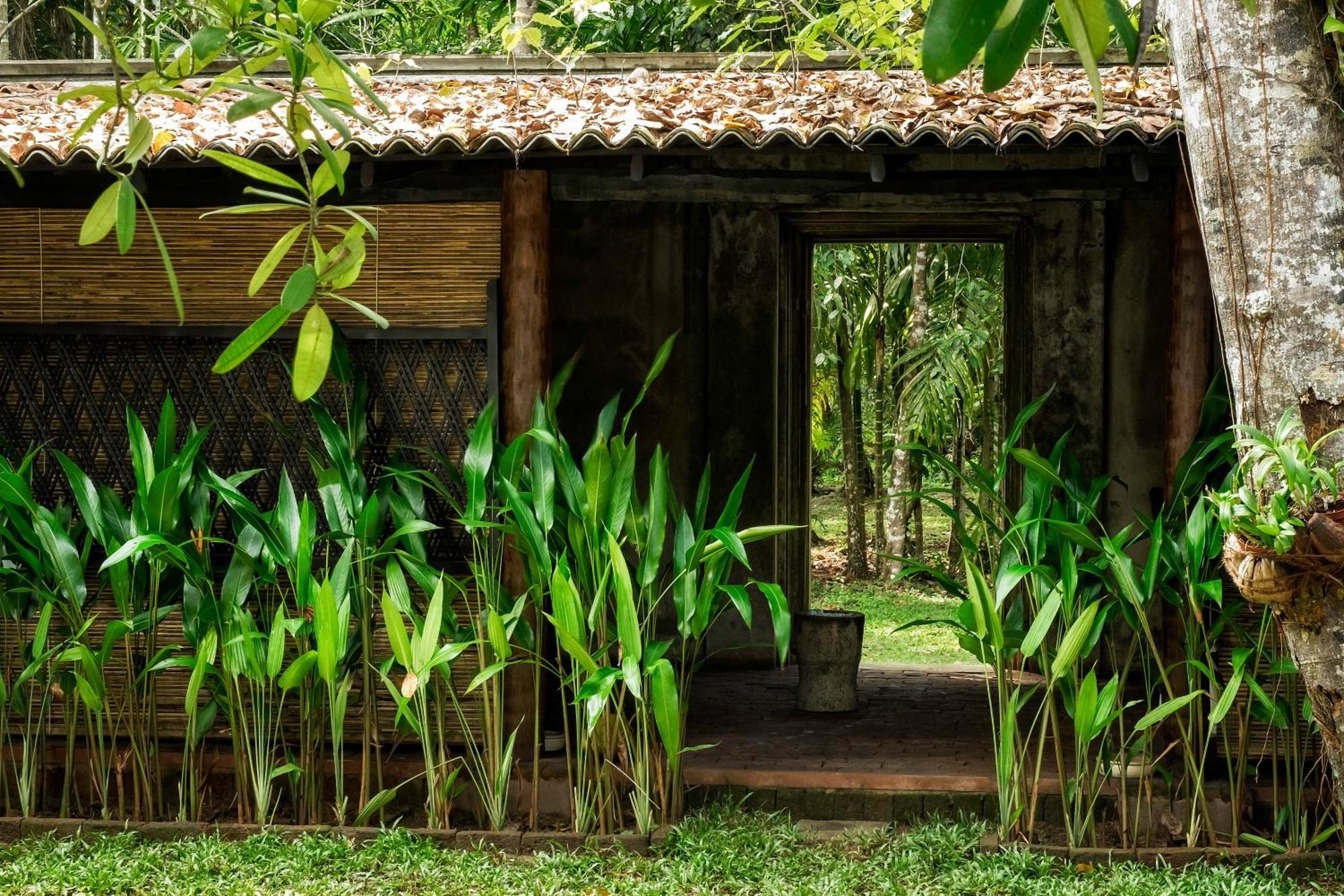 Nisala Arana Boutique Hotel Bentota Eksteriør billede